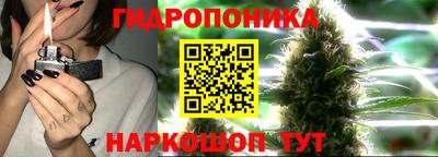 амф Краснодар