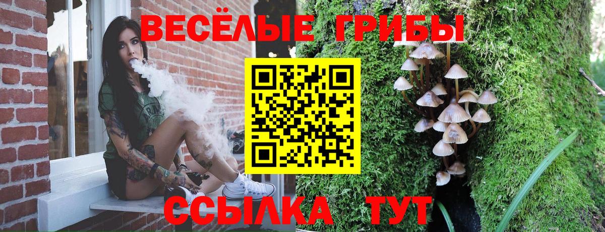 Галлюциногенные грибы GOLDEN TEACHER  Вход с VPN  Чебаркуль  Галлюциногенные грибы мухоморы 